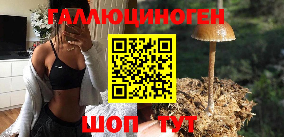 Каменка  Галлюциногенные грибы MAGIC MUSHROOMS  Вход с VPN 