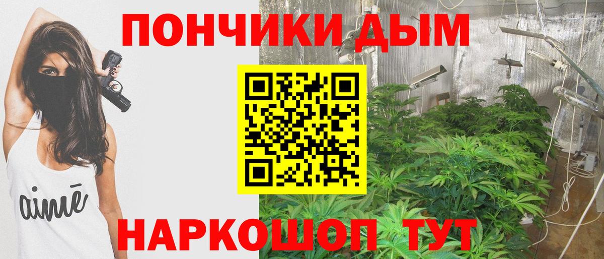 Каннабис планчик Каменка
